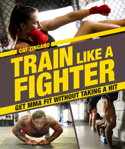 Cover image for book Train Like a Fighter