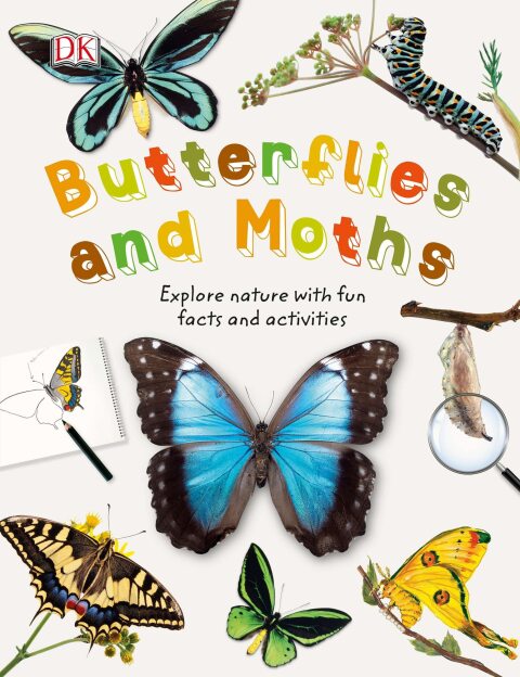 Cover image for book Butterflies and Moths