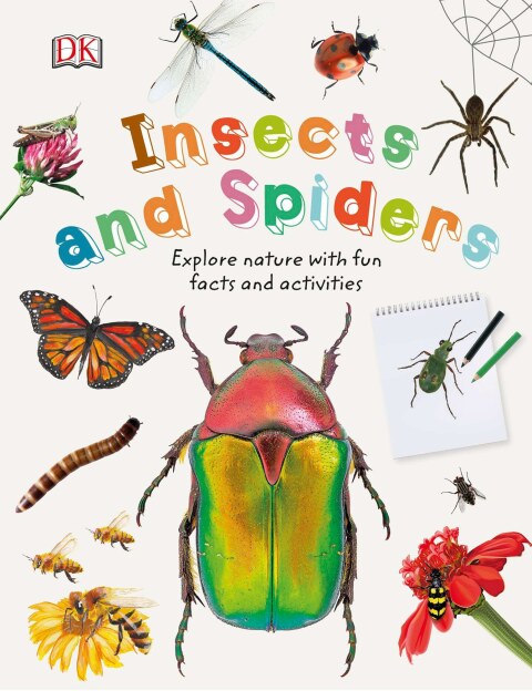 Cover image for book Insects and Spiders