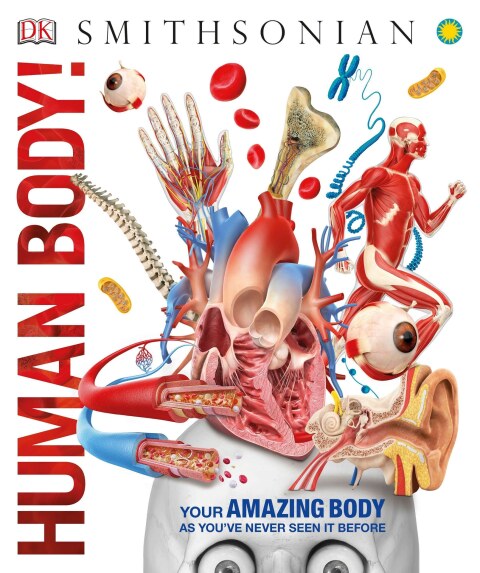 Cover image for book Knowledge Encyclopedia Human Body!