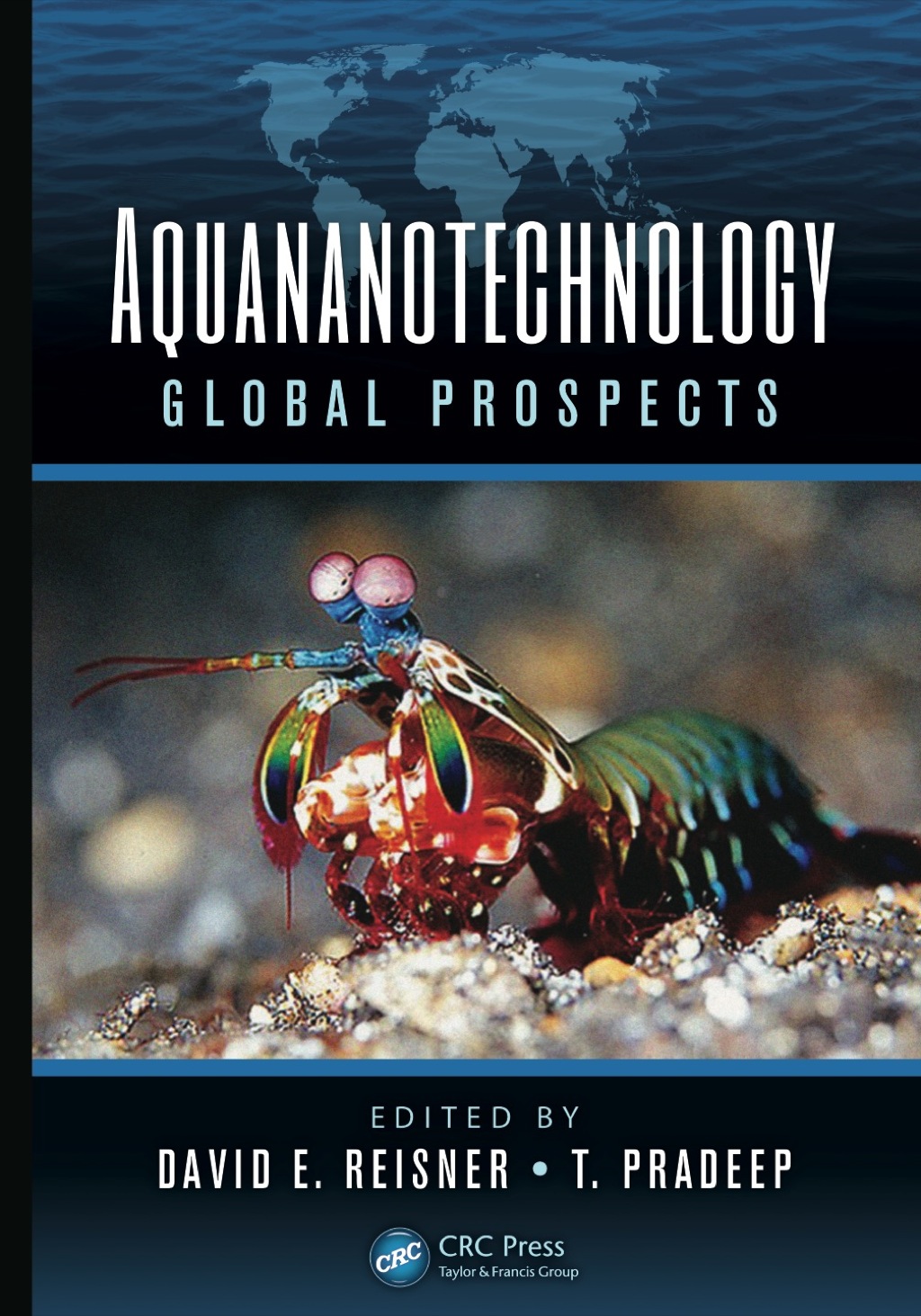 Aquananotechnology (eBook Rental) Aquananotechnology (eBook Rental)