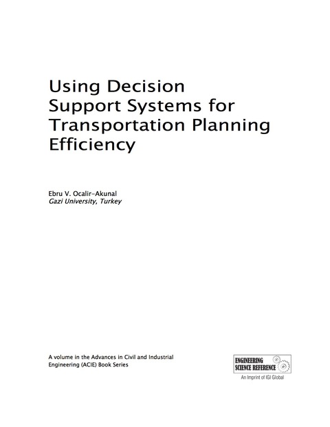 Cover image for book Using Decision Support Systems for Transportation Planning Efficiency