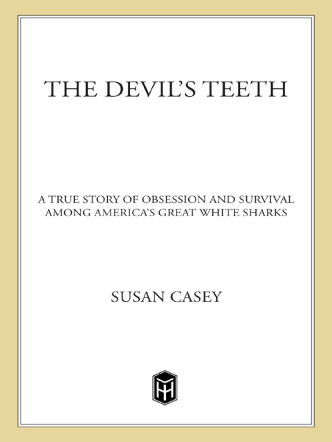 Cover image for book The Devil's Teeth