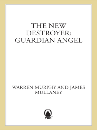 The New Destroyer: Guardian Angel