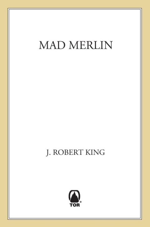 Cover image for book Mad Merlin
