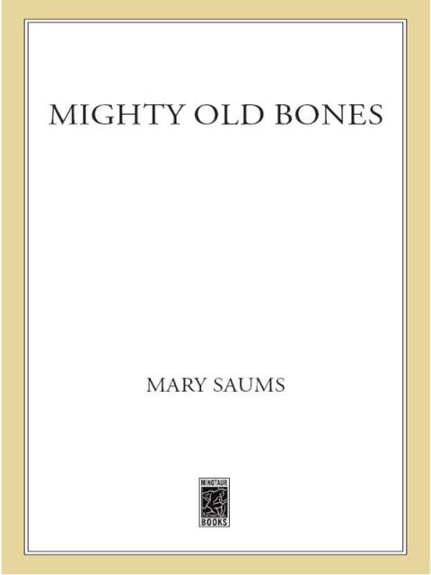 Cover image for book Mighty Old Bones