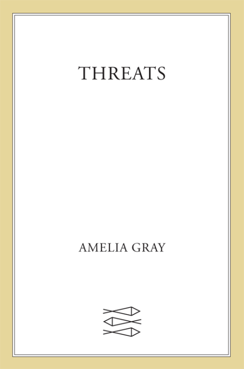Cover image for book Threats