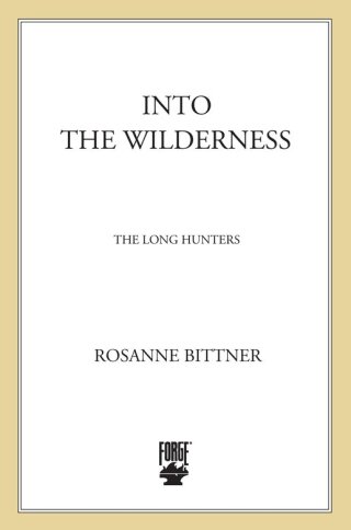 Into the Wilderness