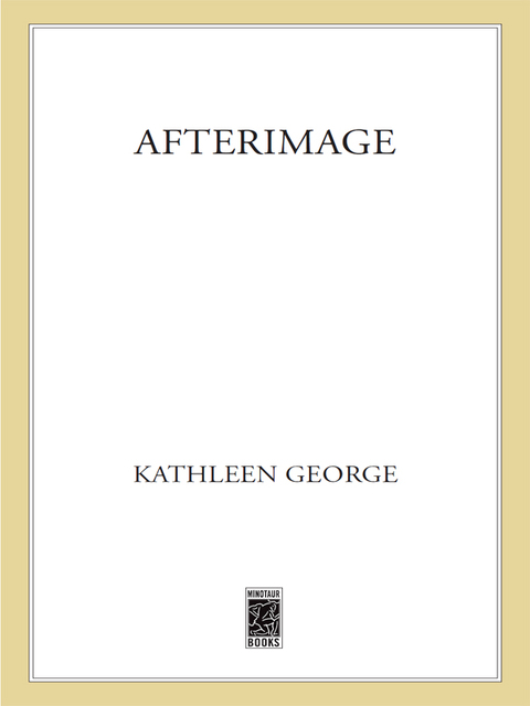 Cover image for book Afterimage