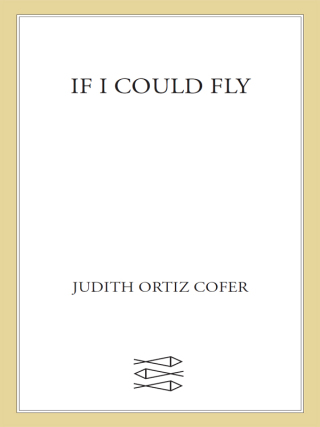 If I Could Fly