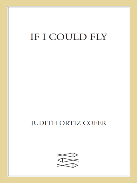 Cover image for book If I Could Fly
