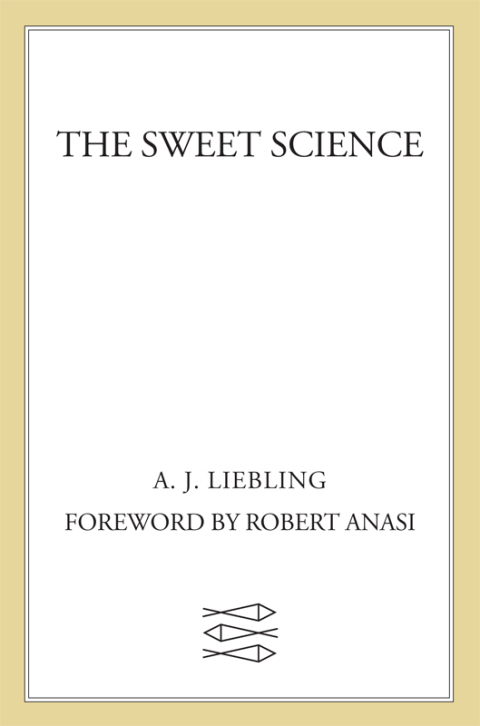 Cover image for book The Sweet Science
