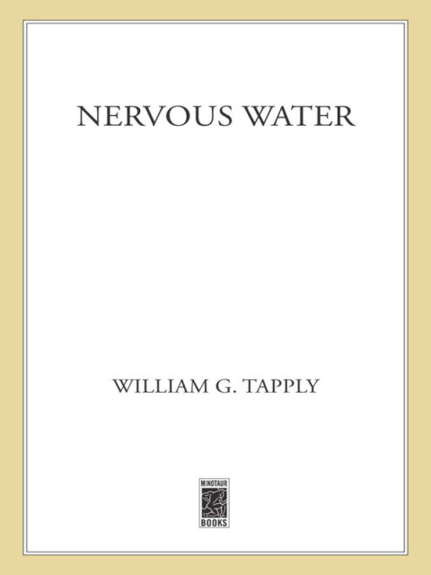 Cover image for book Nervous Water