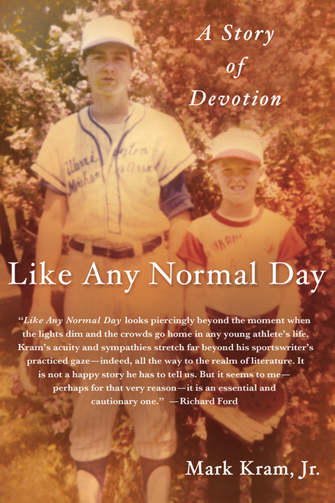 Cover image for book Like Any Normal Day