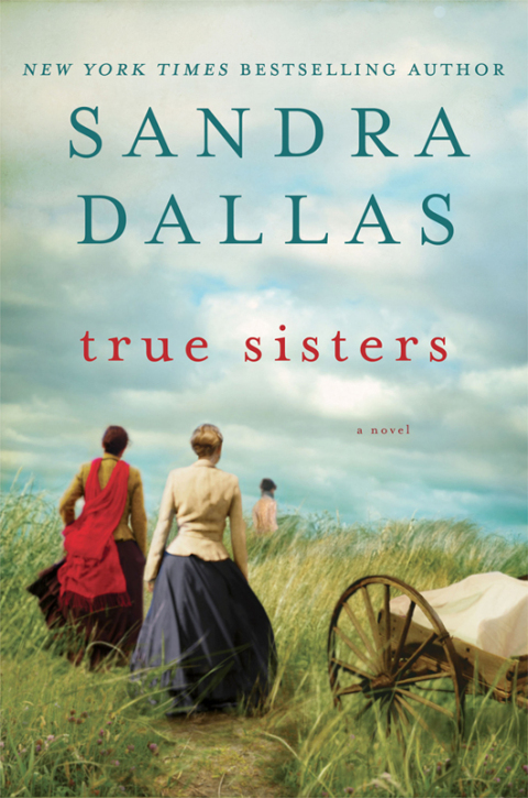 Cover image for book True Sisters