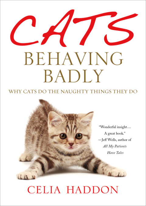 Cover image for book Cats Behaving Badly