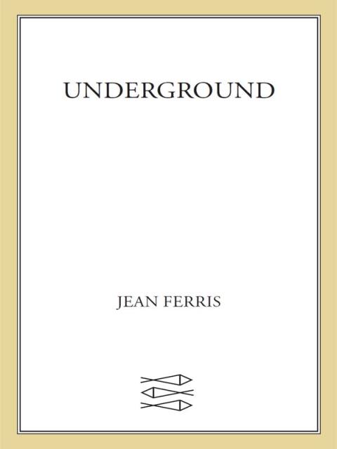 Cover image for book Underground