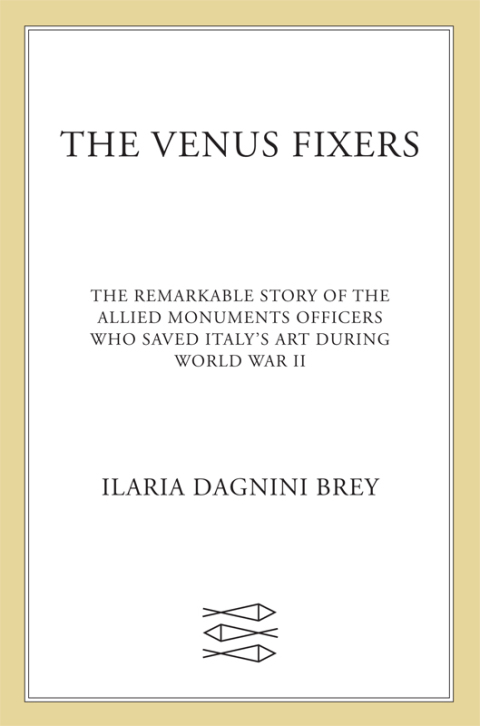 Cover image for book The Venus Fixers