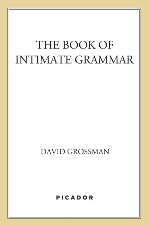 Cover image for book The Book of Intimate Grammar