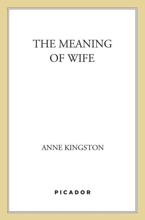 Cover image for book The Meaning of Wife
