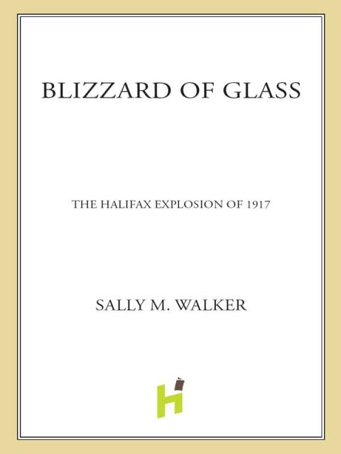 Cover image for book Blizzard of Glass