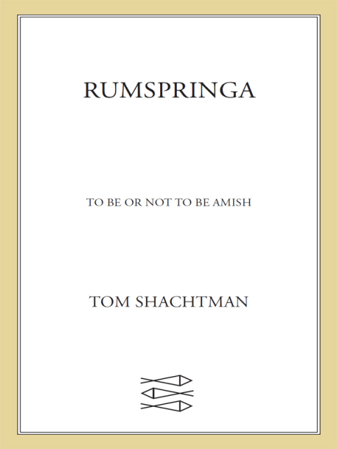 Cover image for book Rumspringa