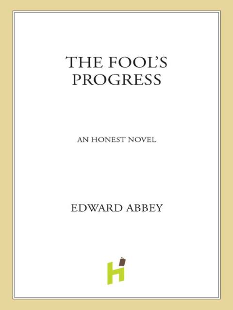 Cover image for book The Fool's Progress