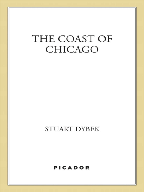 Cover image for book The Coast of Chicago