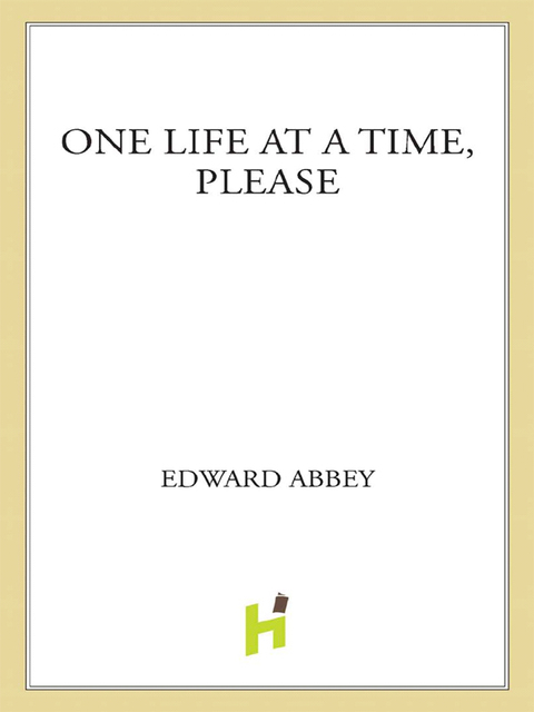 Cover image for book One Life at a Time, Please