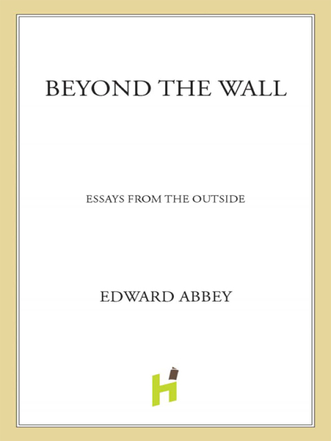 Cover image for book Beyond the Wall