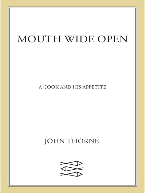 Cover image for book Mouth Wide Open