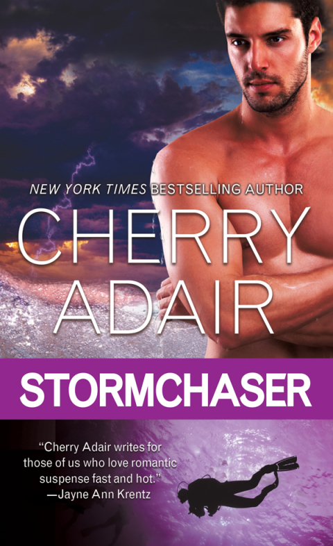 Cover image for book Stormchaser