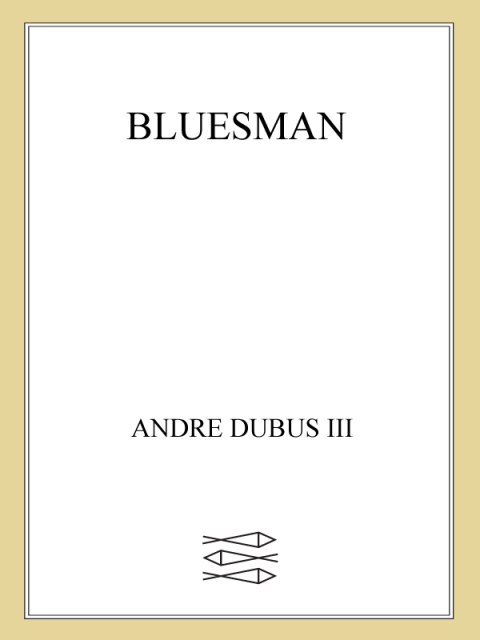 Cover image for book Bluesman