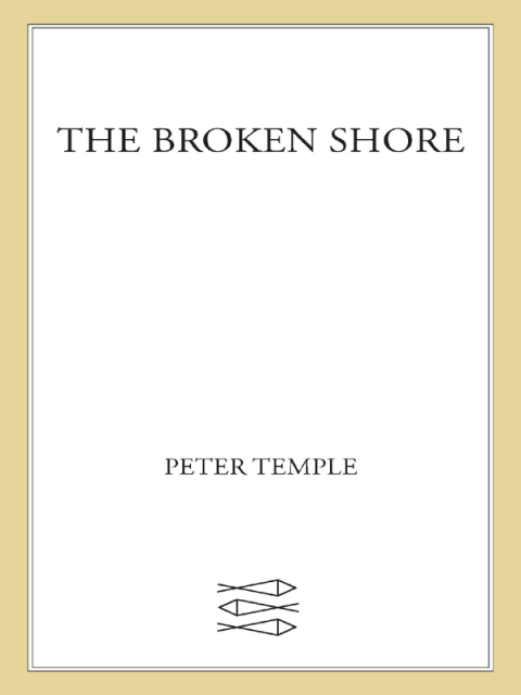 Cover image for book The Broken Shore