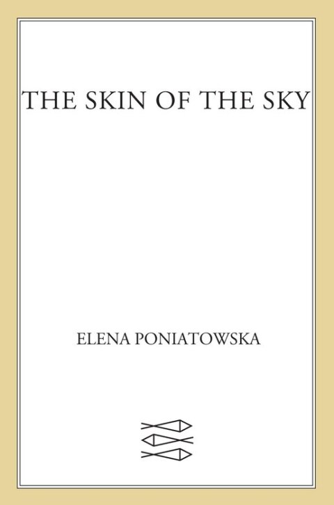 Cover image for book The Skin of the Sky