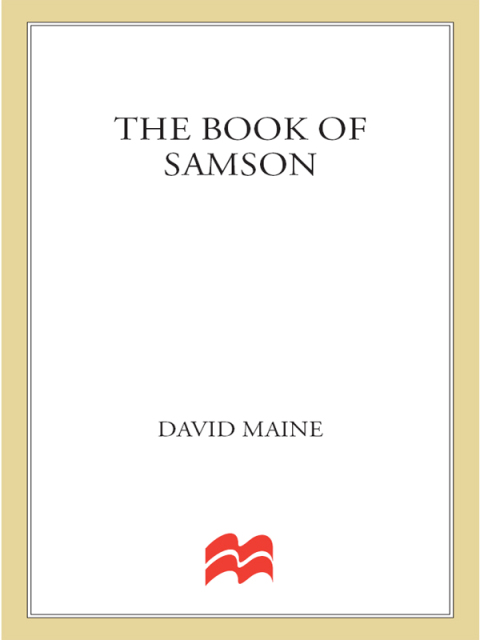 Cover image for book The Book of Samson