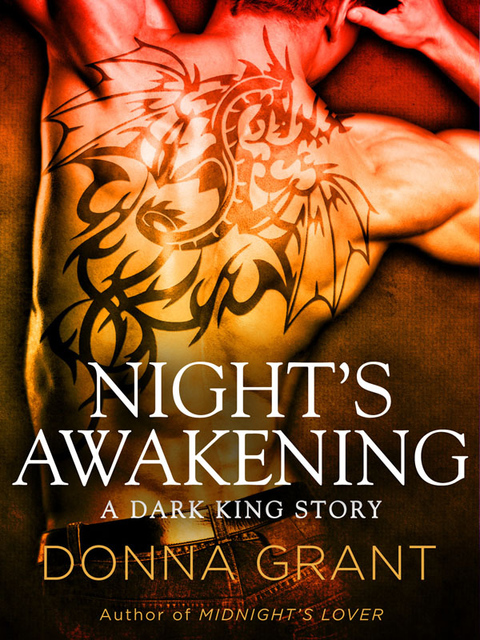 Cover image for book Night's Awakening