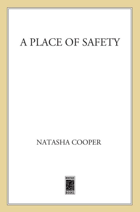 Cover image for book A Place of Safety