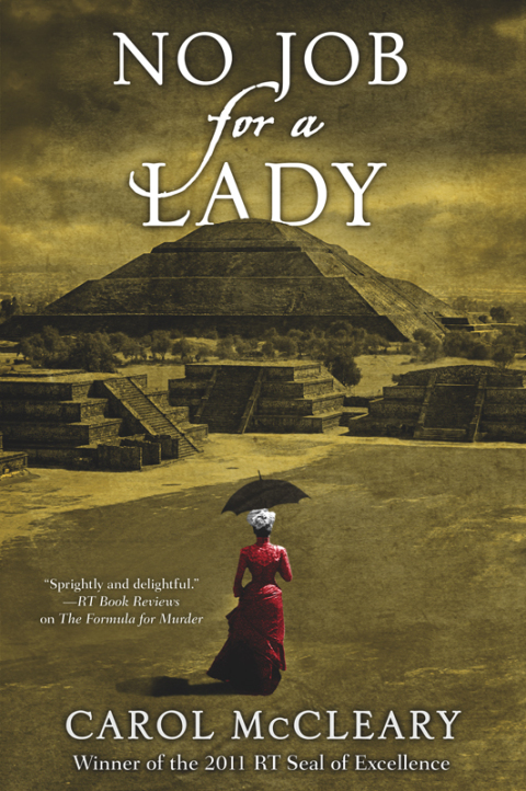 Cover image for book No Job for a Lady