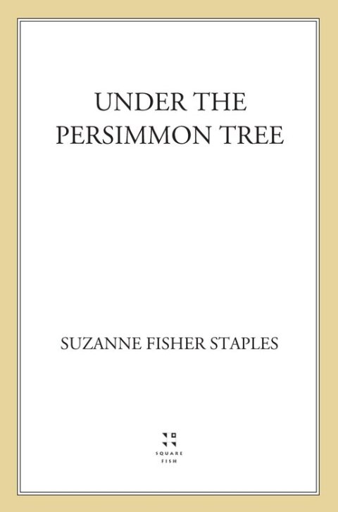 Cover image for book Under the Persimmon Tree