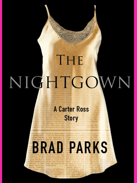 Cover image for book The Nightgown