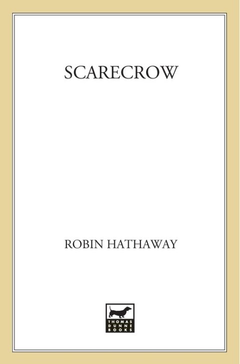 Cover image for book Scarecrow