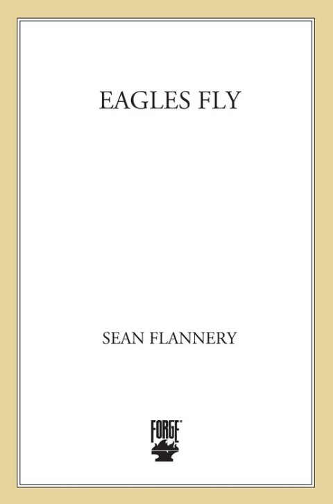 Cover image for book Eagles Fly