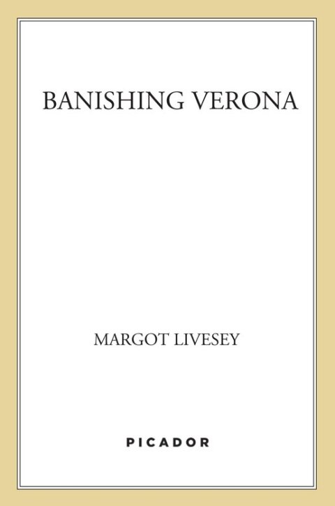 Cover image for book Banishing Verona