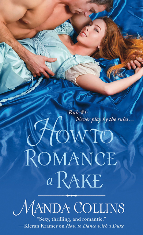 Cover image for book How to Romance a Rake