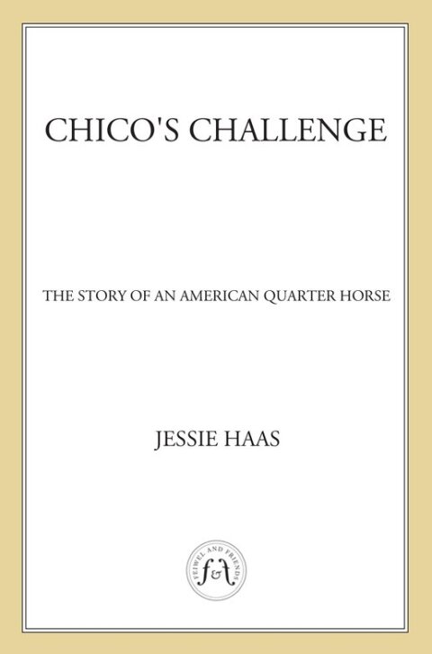 Cover image for book Chico's Challenge