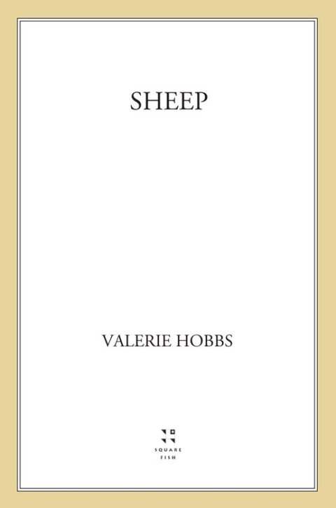 Cover image for book Sheep