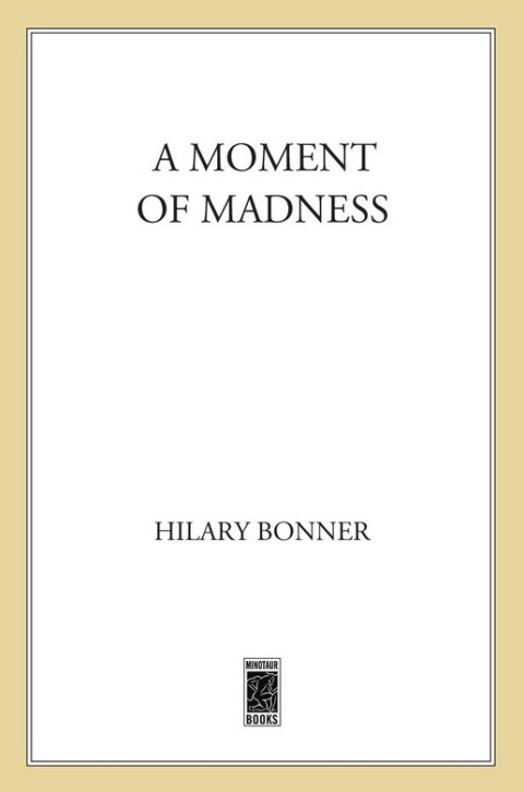 Cover image for book A Moment of Madness