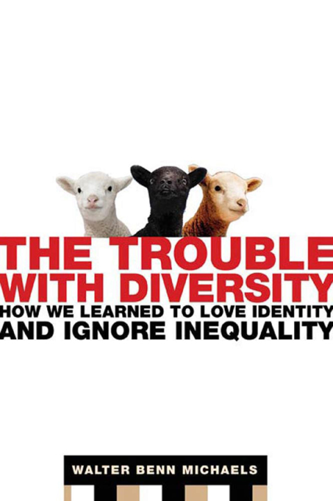 Cover image for book The Trouble with Diversity