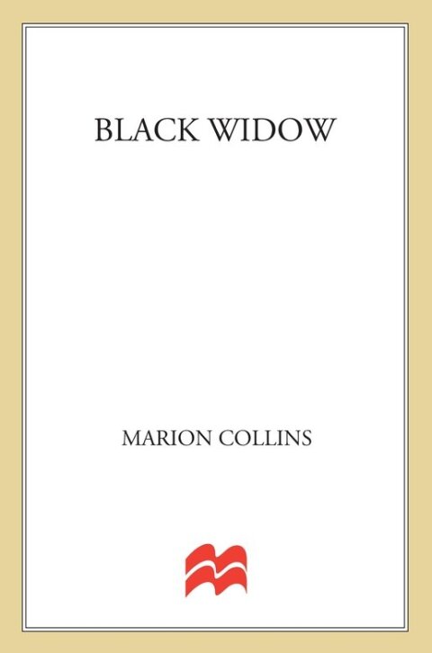 Cover image for book Black Widow